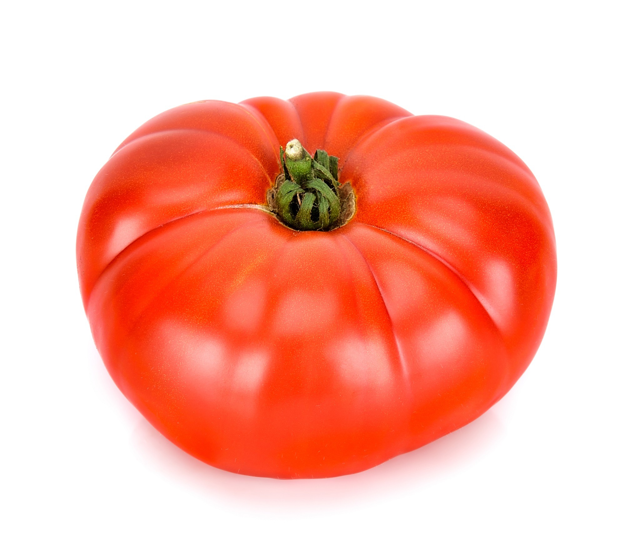 https://www.lifeseedcompany.com/wp-content/uploads/Tomato20-20Brandywine20Red.jpg